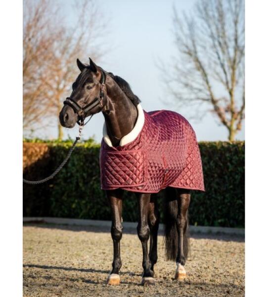 Couverture de Présentation Luxe Matelassée avec Col Teddy